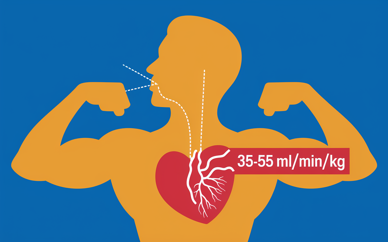 Silhouette respire, shéma poumons coeur VO2max chiffres