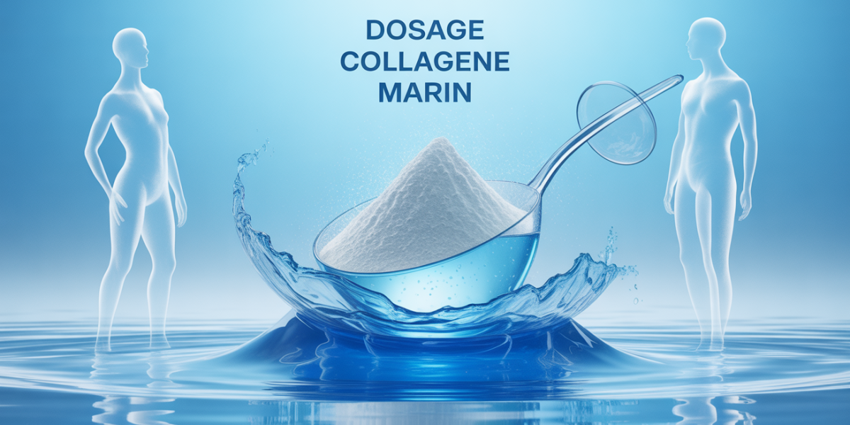 illustration poudre collagene marin dosage quotidien peau articulations
